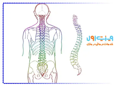 آناتومی ستون فقرات، ساختمان پیچیدهای از مهرهها، دیسکها و اعصاب است که از سر تا لگن امتداد دارد و بدن را حمایت میکند.
