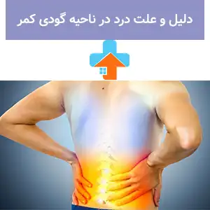 درد گودی کمر می‌تواند ناشی از ضعف عضلات، مشکلات دیسک کمر یا عادات نادرست نشستن باشد و بررسی دقیق علت درد در ناحیه گودی کمر برای درمان مؤثر ضروری است.