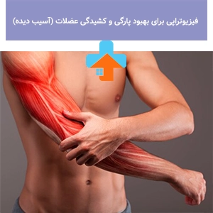 کشیدگی عضلات معمولاً به دلیل حرکات ناگهانی یا فشار بیش از حد رخ می‌دهد و فیزیوتراپی یکی از مؤثرترین راه‌های درمان کشیدگی عضله است.