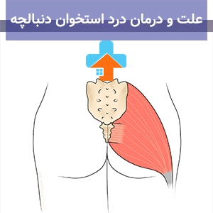 درد استخوان دنبالچه می‌تواند ناشی از زمین خوردن، نشستن طولانی یا حتی زایمان باشد؛ شناخت دقیق علت درد دنبالچه اولین گام در مسیر درمان مؤثر است.