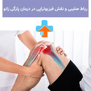 رباط صلیبی و نقش فیزیوتراپی